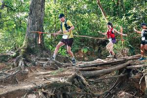 BIB: 
                            <button type="button" onclick="openModal(27556263)" class="btn btn-primary btn-sm float-right btn-popup" data-toggle="modal" data-target=".modal-high-quality">
                        <i class="fas fa-shopping-cart"></i> Add to Cart
                    </button>
                                            <button type="button" onclick="isThisMe(27556263, true)" class="btn btn-success btn-sm float-right btn-popup btn-isme hidden" data-toggle="tooltip" data-placement="bottom" title="นี่คือรูปของคุณใช่ไหม คลิกที่นี่เพื่อเอาเข้าอัลบั้ม">
                        <i class="fas fa-plus"></i> Add to album
                    </button>
                    <button type="button" onclick="isThisMe(27556263, false)" class="btn btn-warning btn-sm float-right btn-popup btn-isnotme hidden">
                        <i class="fas fa-ban"></i> Remove from album
                    </button>